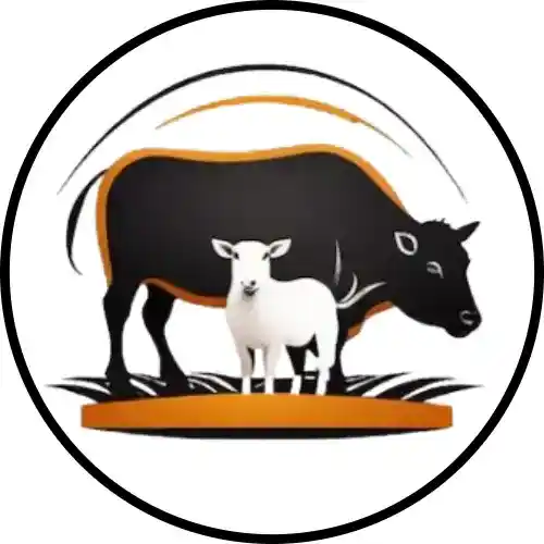 Animals / पशु
