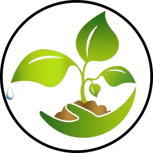 Plantation / वृक्षारोपण