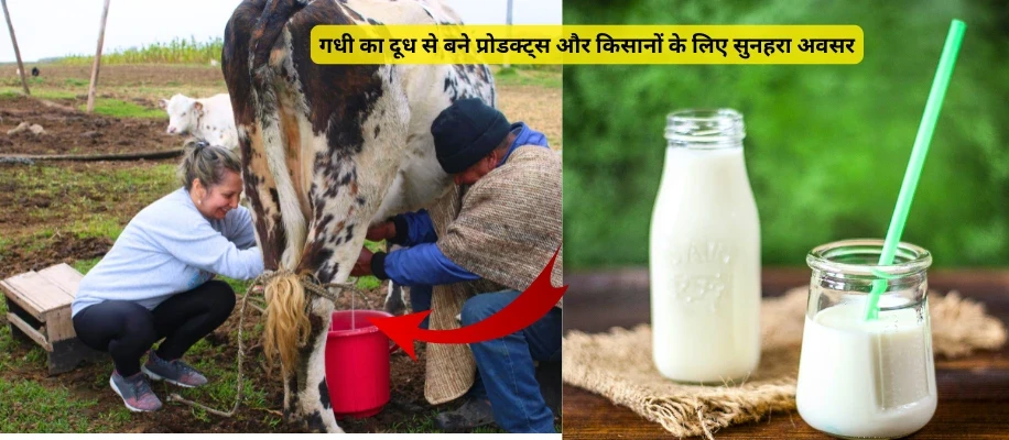 गधी का दूध से बने प्रोडक्ट्स और किसानों के लिए सुनहरा अवसर
