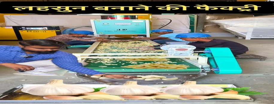 लहसुन बनाने की फैक्ट्री -मिनटों में कुंतलों लहसुन