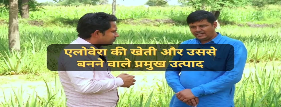 एलोवेरा की खेती और उससे बनने वाले प्रमुख उत्पाद