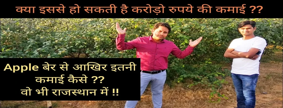 किसानों को धनवान बना रही एप्पल बेर की खेती