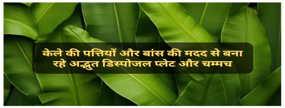 केले की पत्तियों और बांस की मदद से बना रहे अद्भुत डिस्पोजल प्लेट और चम्मच