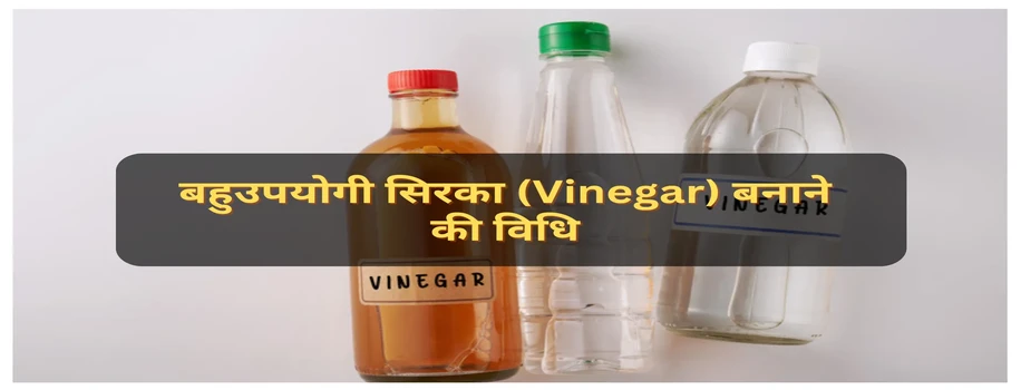 बहुउपयोगी सिरका (Vinegar) बनाने की विधि