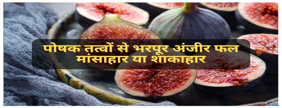 पोषक तत्वों से भरपूर अंजीर फल मांसाहार या शाकाहार