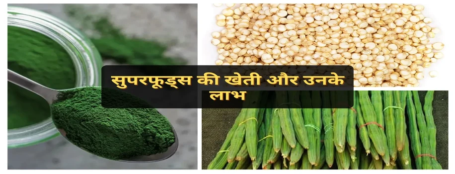 सुपरफूड्स की खेती और उनके लाभ