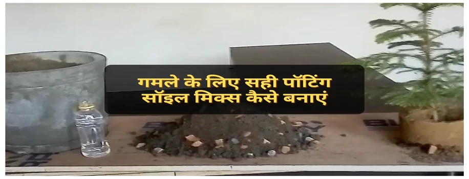 गमले के लिए सही पॉटिंग सॉइल मिक्स कैसे बनाएं