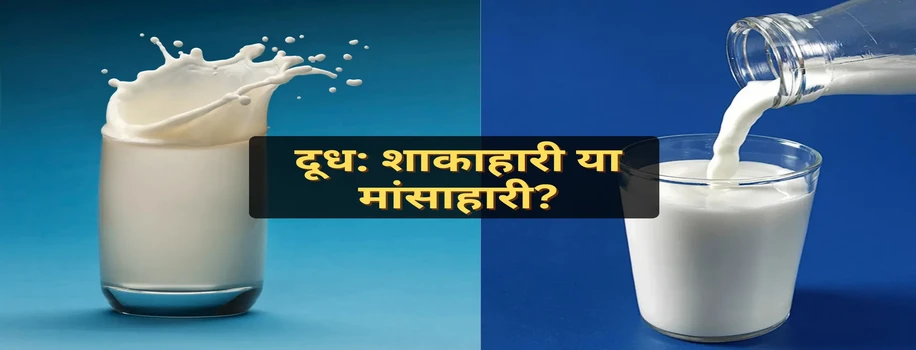 दूध: शाकाहारी या मांसाहारी?