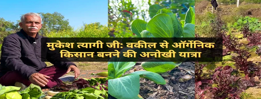 मुकेश त्यागी जी: वकील से ऑर्गेनिक किसान बनने की अनोखी यात्रा
