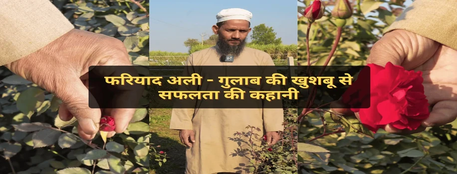 फरियाद अली - गुलाब की खुशबू से सफलता की कहानी
