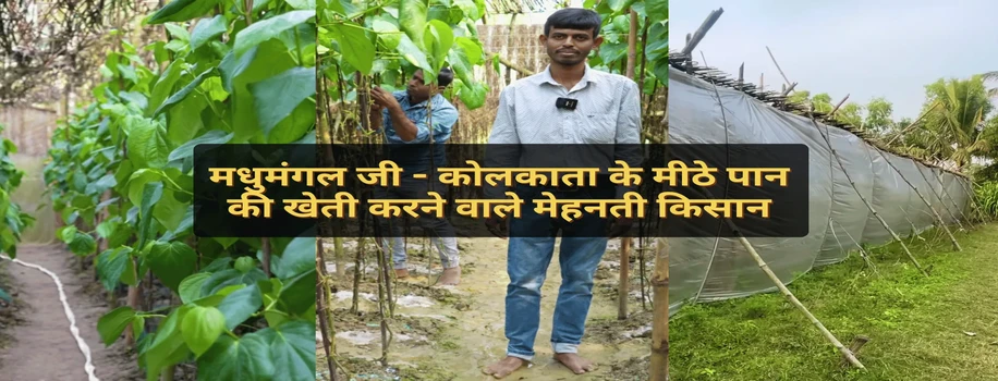 मधुमंगल जी - कोलकाता के मीठे पान की खेती करने वाले मेहनती किसान