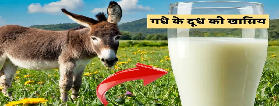 भारत में गधे के दूध का बाज़ार