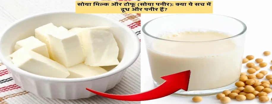 सोया मिल्क और टोफू (सोया पनीर): क्या ये सच में दूध और पनीर हैं?