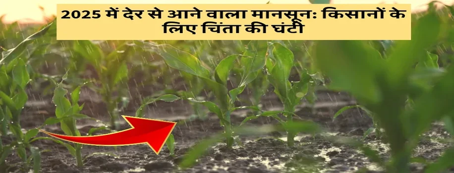 2025 में आने वाला मानसून: किसानों के लिए चिंता की घंटी