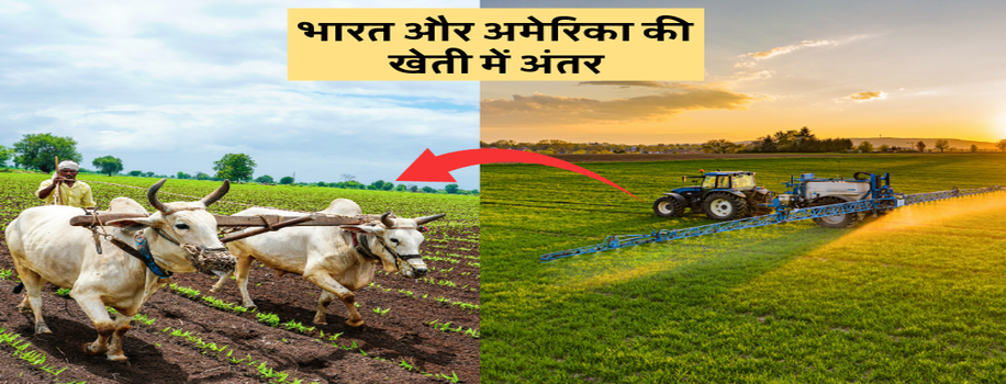 भारत और अमेरिका की खेती में अंतर