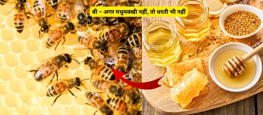 बी – अगर मधुमक्खी नहीं, तो धरती भी नहीं