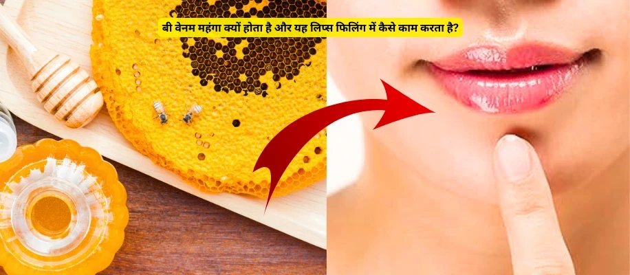 बी वेनम महंगा क्यों होता है और यह लिप्स फिलिंग में कैसे काम करता है?