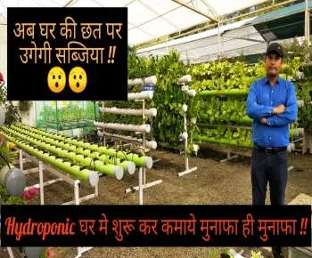 Hydroponic Farming घर में शुरू कर कमाये मुनाफा ही मुनाफा जाने कैसे ??