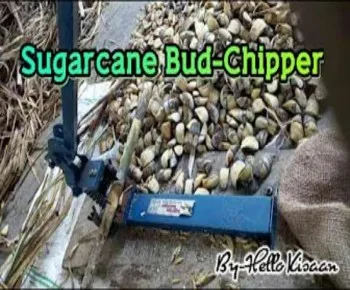 गन्ने की अर्ध-गोल आँख निकालने वाली मशीन