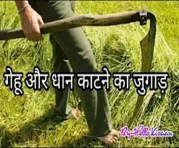 गेहूँ/ धान काटने का जुगाड़