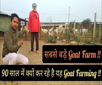 आखिर Forest Officer ने नौकरी के बाद Goat Farm ही क्यो शुरू किया (Oldest man Farming )