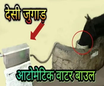 गाय को पानी पिलाने का ऐसा जुगाड़ न देखा होगा