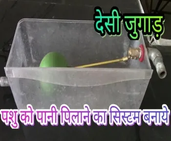 गाय के पानी पीने का ऑटोमेटिक सिस्टम ऐसे बनाये