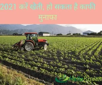 2021 करें खेती, हो सकता है काफी मुनाफा