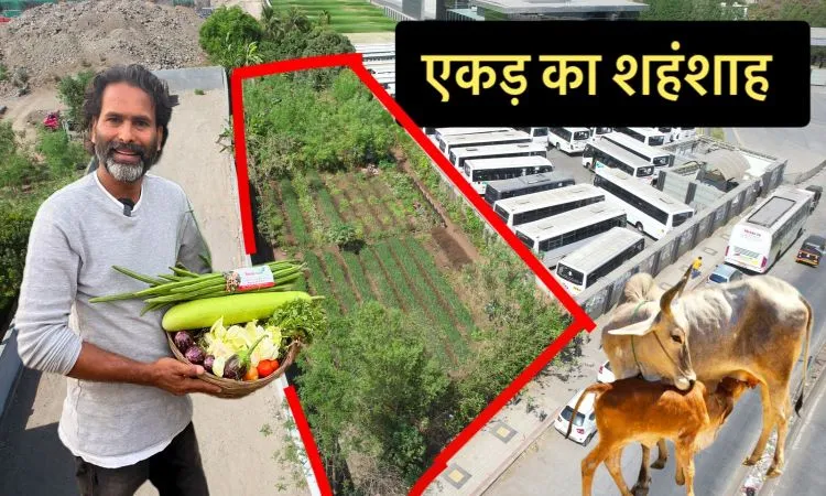 थोड़ी जगह में भी सैंकड़ों प्रकार की फसलें उगा कर किया कमाल