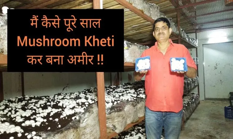 आज भी मशरूम की खेती कर कमा रहे लाखों रुपए