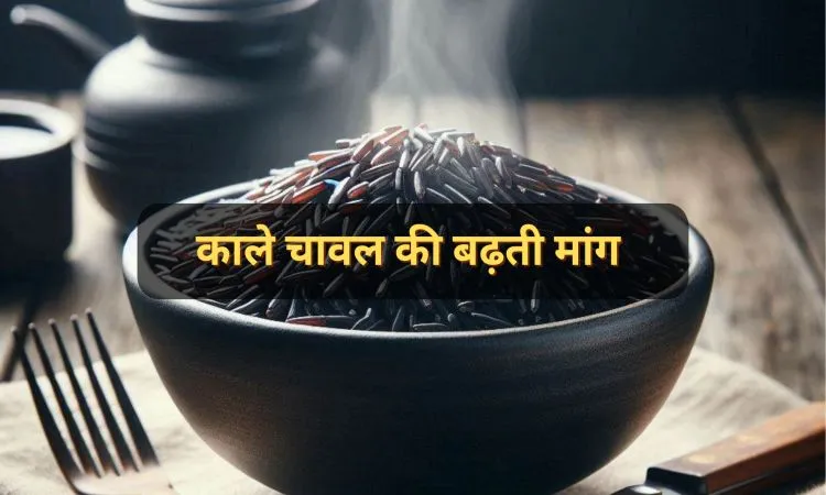काले चावल की बढ़ती मांग