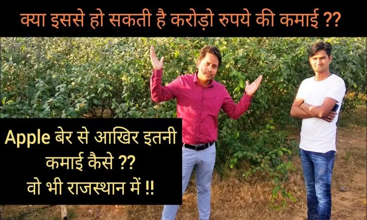 किसानों को धनवान बना रही एप्पल बेर की खेती