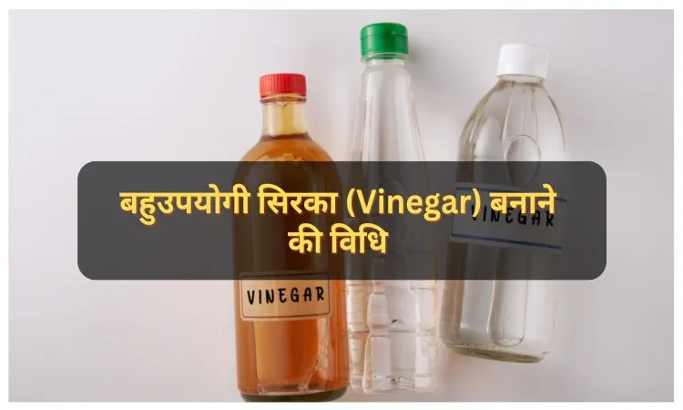 बहुउपयोगी सिरका (Vinegar) बनाने की विधि