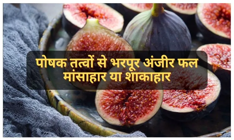 पोषक तत्वों से भरपूर अंजीर फल मांसाहार या शाकाहार