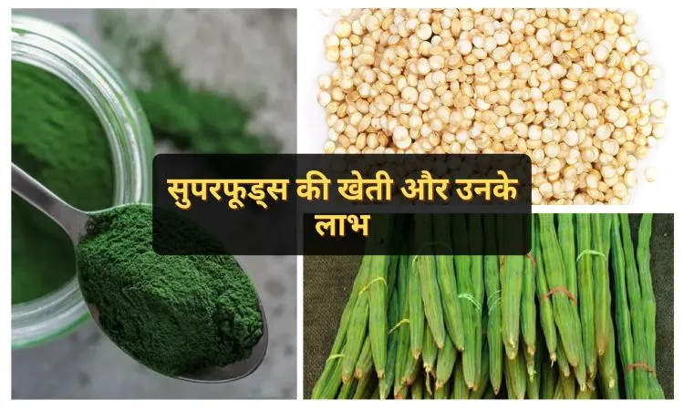 सुपरफूड्स की खेती और उनके लाभ