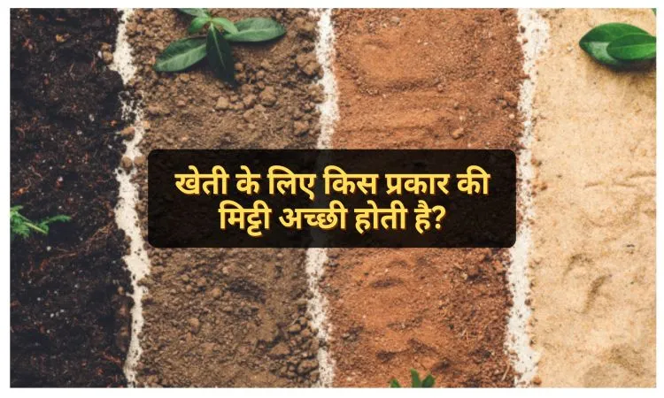 खेती के लिए किस प्रकार की मिट्टी अच्छी होती है?