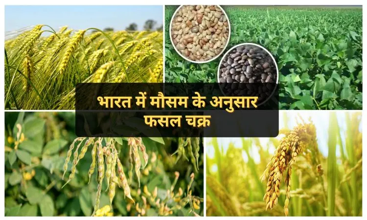 भारत में मौसम के अनुसार फसल चक्र