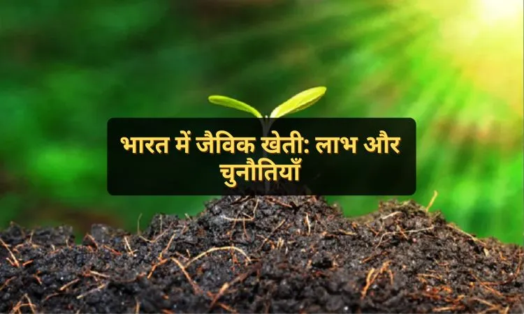भारत में जैविक खेती: लाभ और चुनौतियाँ