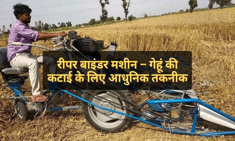 रीपर बाइंडर मशीन – गेहूं की कटाई के लिए आधुनिक तकनीक