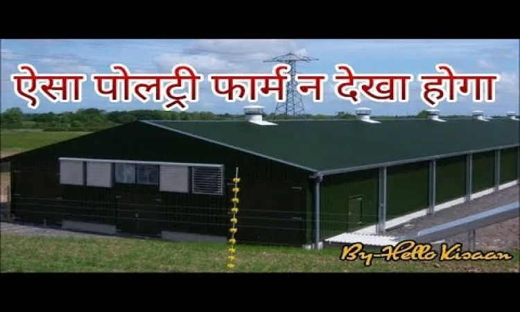 फुली ऑटोमैटिक पोल्ट्री फार्म: कम मेहनत, ज्यादा मुनाफा