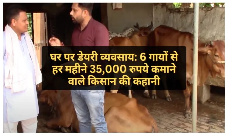 घर पर डेयरी व्यवसाय: 6 गायों से हर महीने 35,000 रुपये कमाने वाले किसान की कहानी
