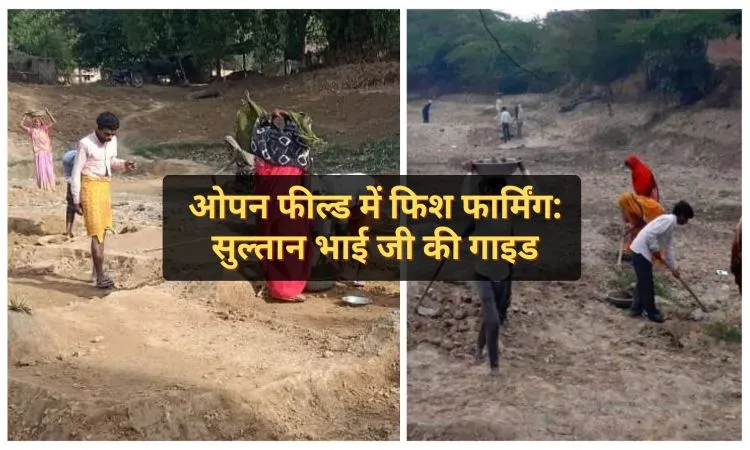 ओपन फील्ड में फिश फार्मिंग: सुल्तान भाई जी की गाइड