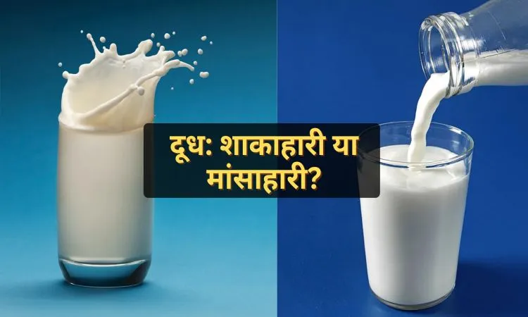 दूध: शाकाहारी या मांसाहारी?