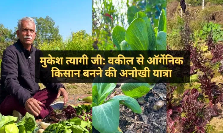 मुकेश त्यागी जी: वकील से ऑर्गेनिक किसान बनने की अनोखी यात्रा