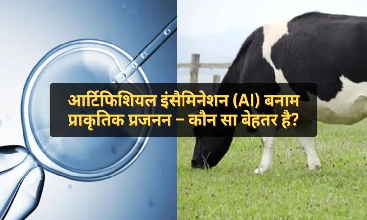 आर्टिफिशियल इंसैमिनेशन (AI) बनाम प्राकृतिक प्रजनन – कौन सा बेहतर है?