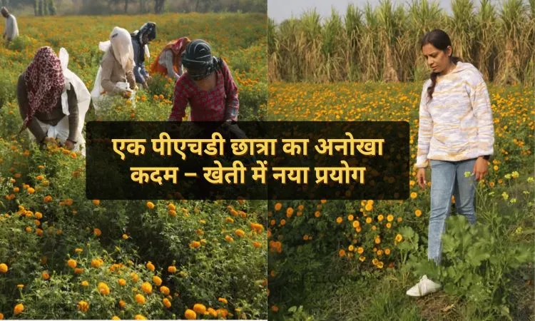 एक पीएचडी छात्रा का अनोखा कदम – खेती में नया प्रयोग