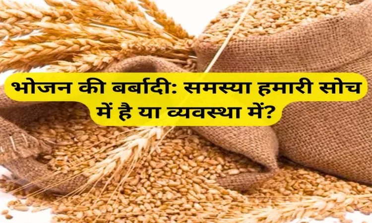 भोजन की बर्बादी: समस्या हमारी सोच में है या व्यवस्था में?