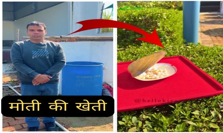 मोती की खेती