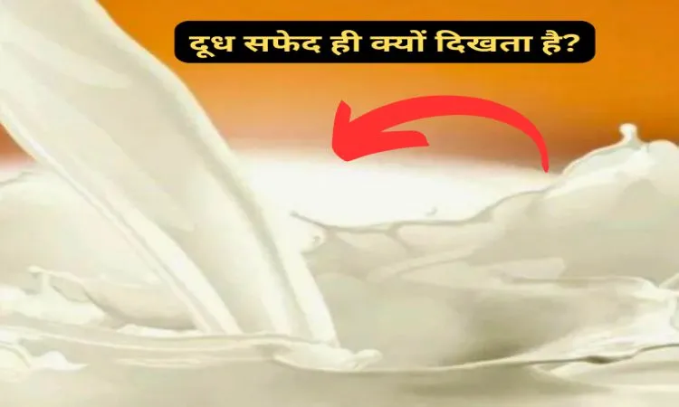 दूध सफेद ही क्यों दिखता है?