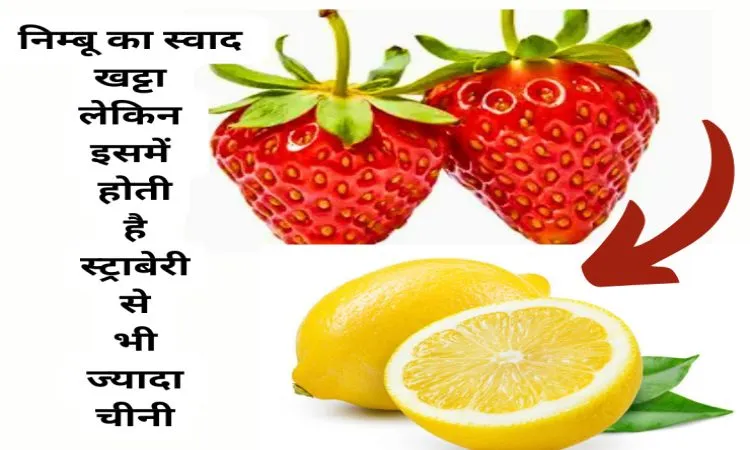 निम्बू का स्वाद खट्टा लेकिन इसमें होती है स्ट्राबेरी से भी ज्यादा चीनी